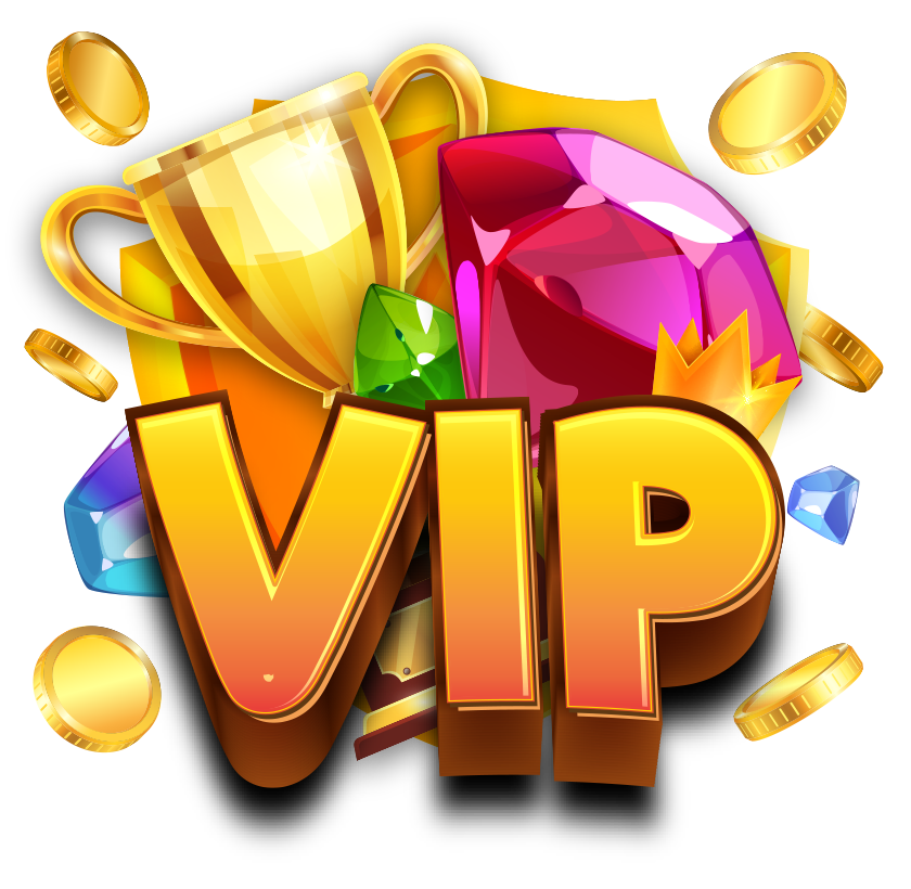 vip program